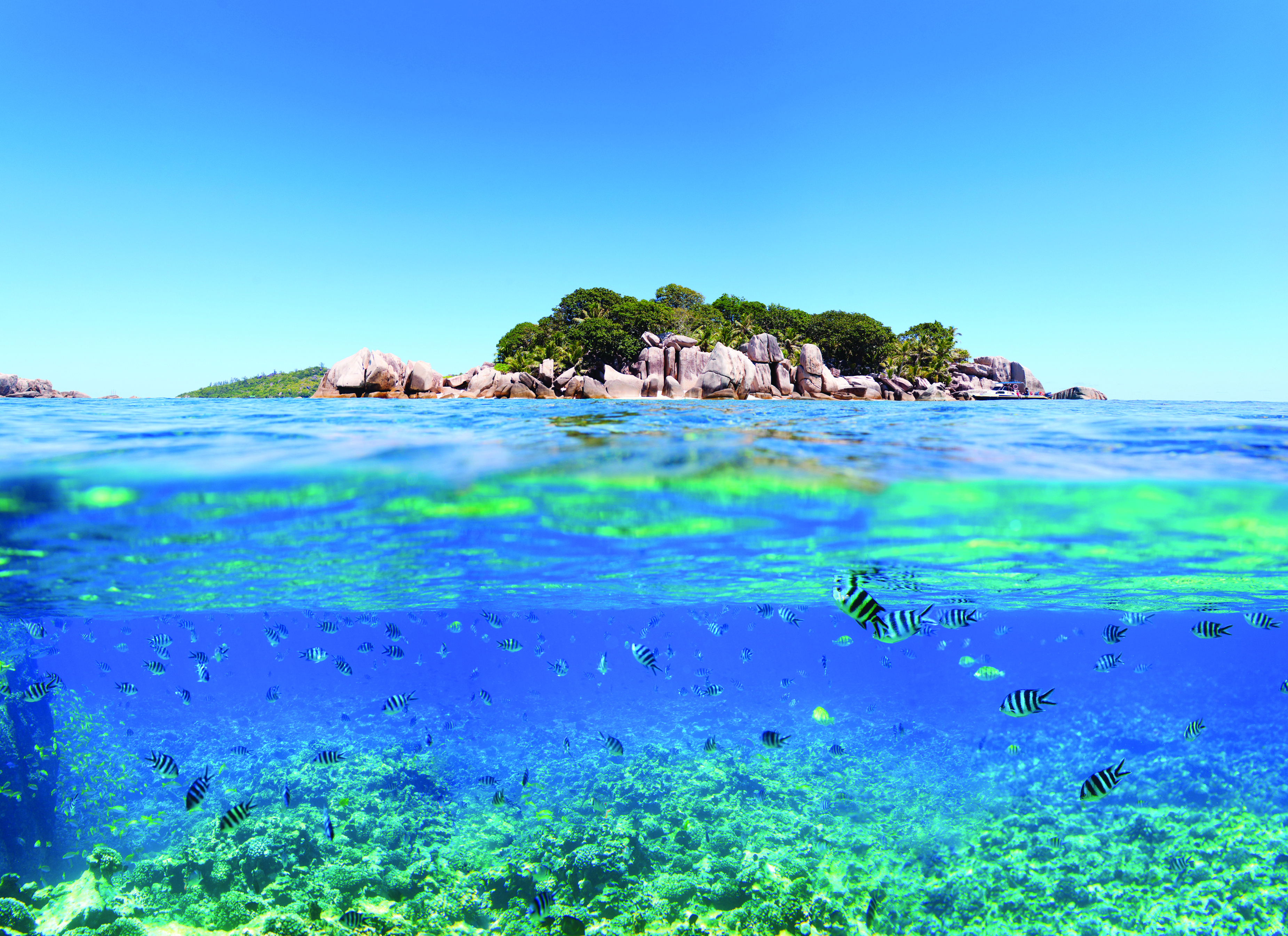 Seychelles 111971706