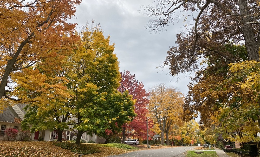 Niagara On the lake 3