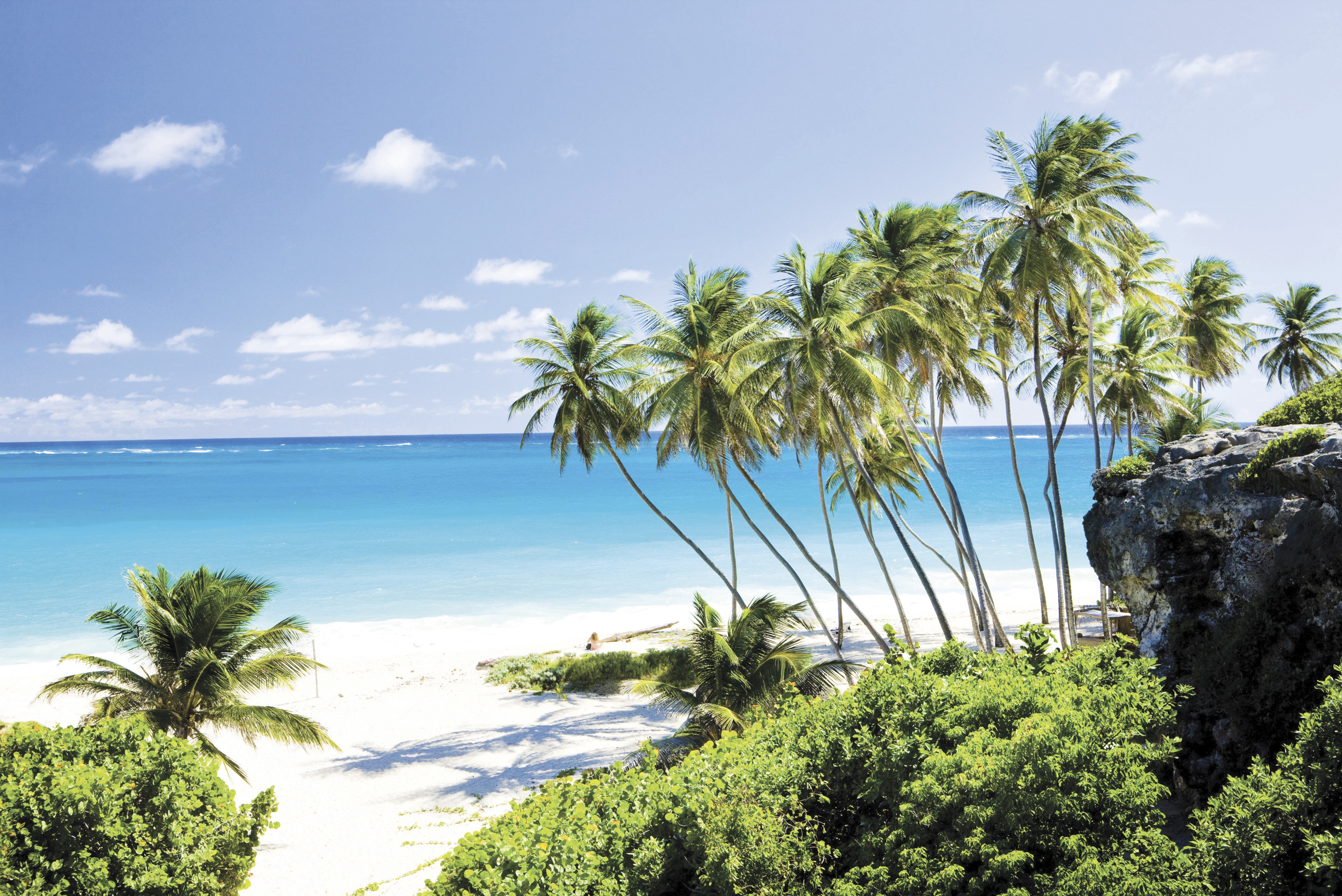 BARBADOS 176839887