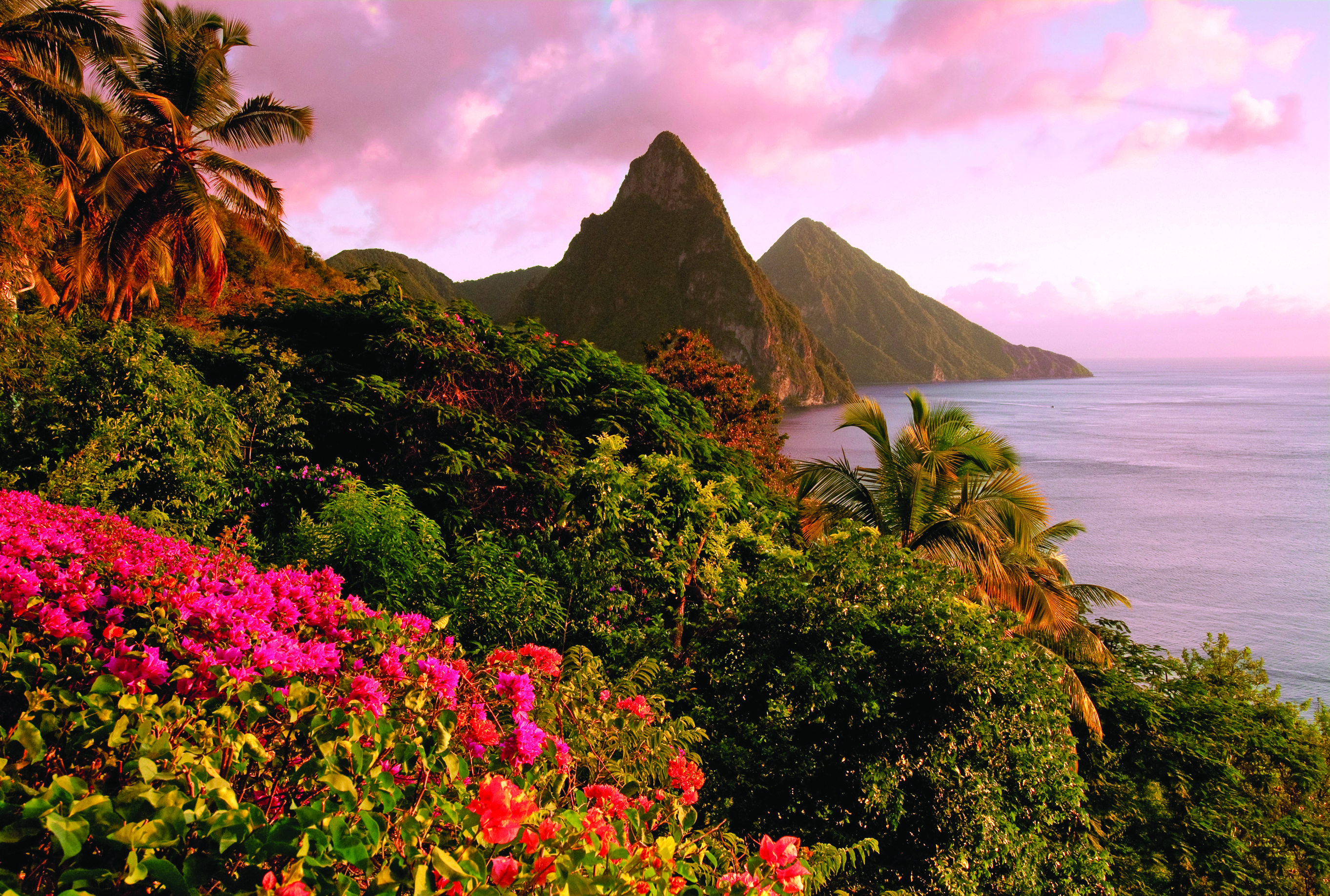 St Lucia iStock 000015069747Large 