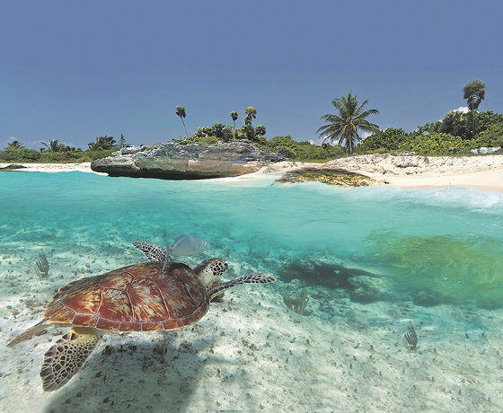 CARIBBEAN thinkstock 1542708 560x460