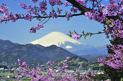 JAPAN Fuji 477335967 200dpi