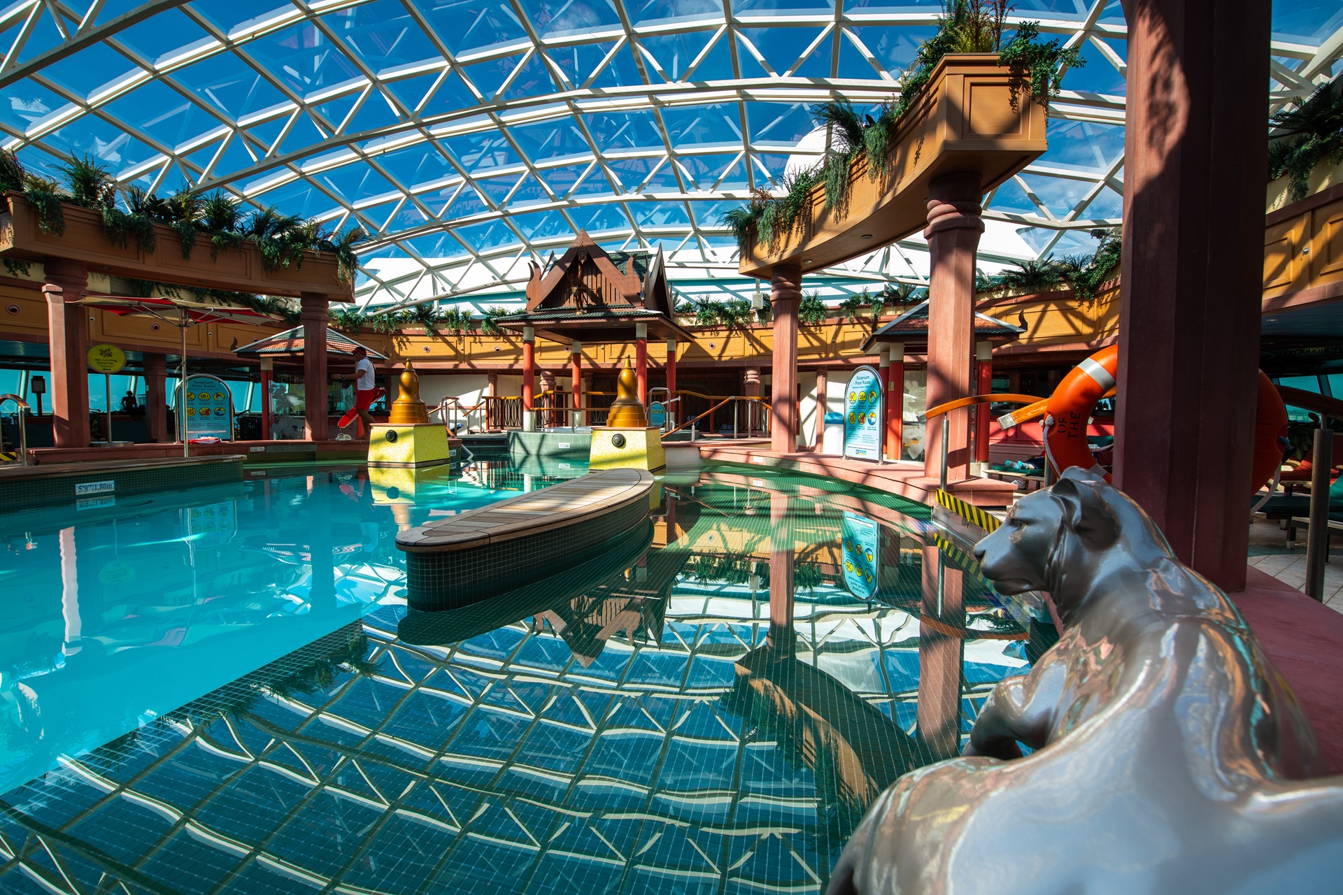 Z RCI Radiance  solarium pool