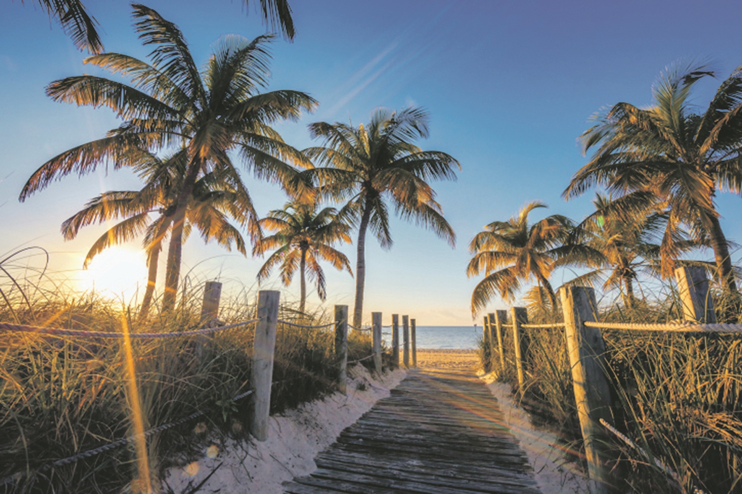 Z FLORIDA Beach475034483 200dpi
