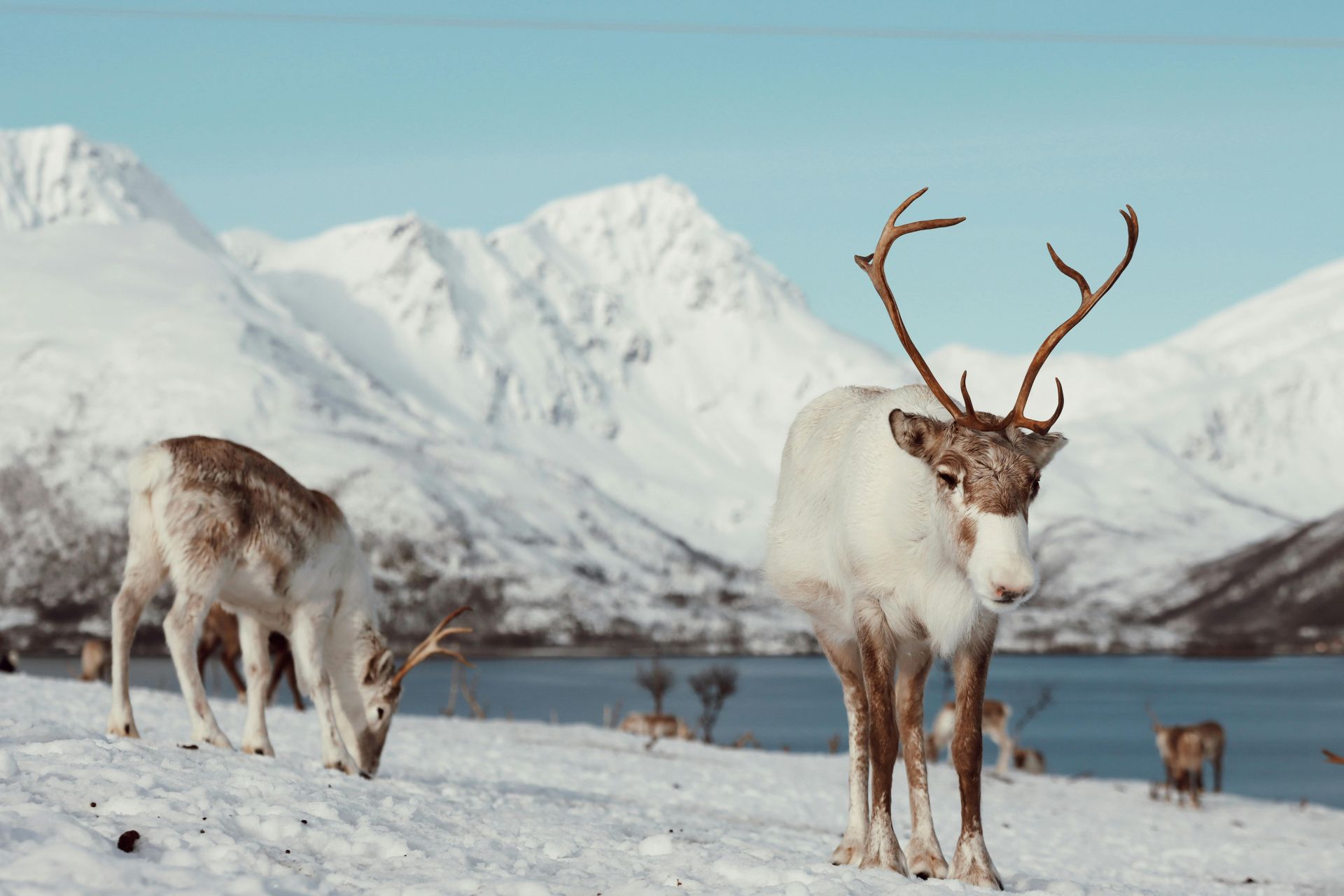 Tromso1