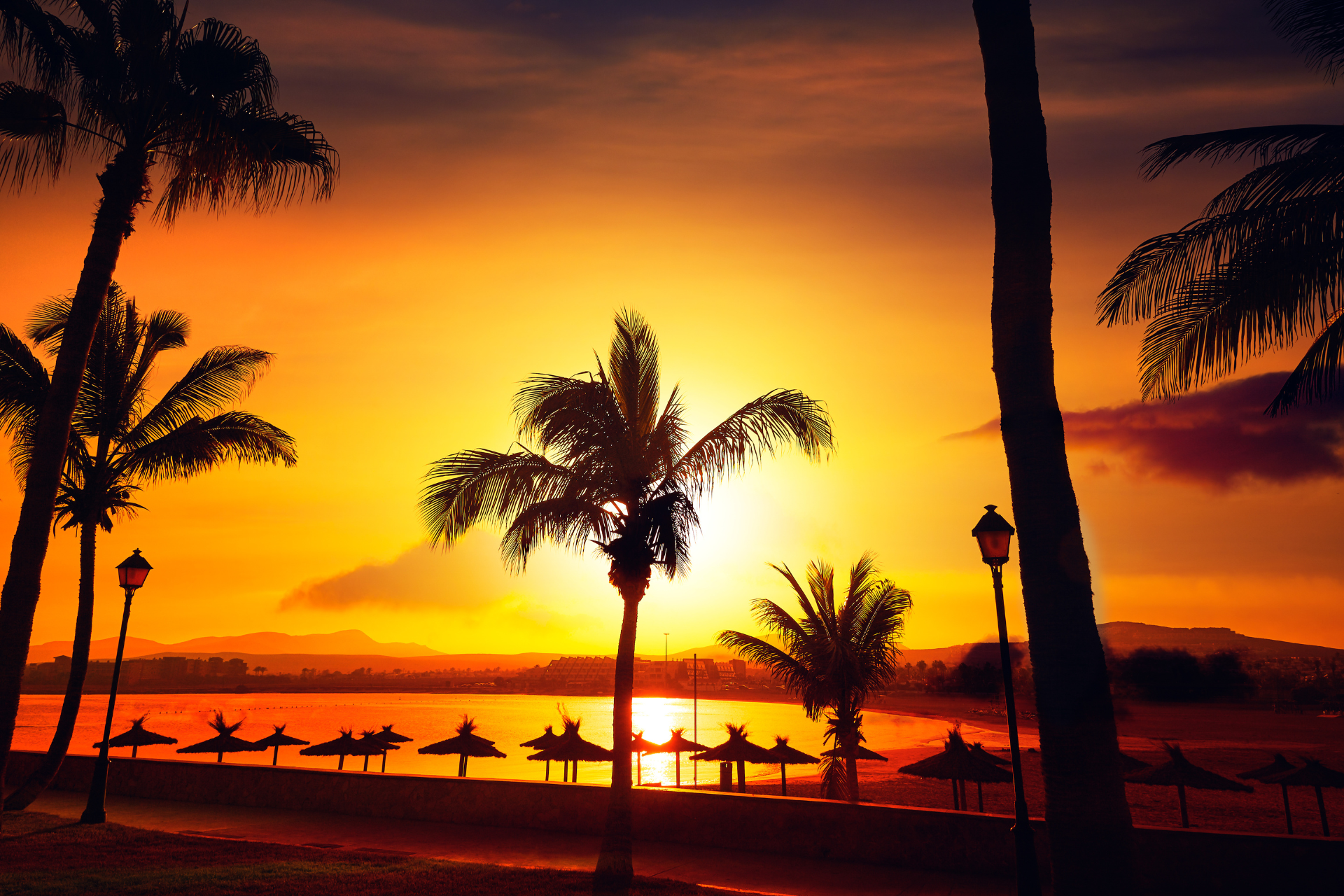 A sunset with tress in silhouette colours in Canary Islands