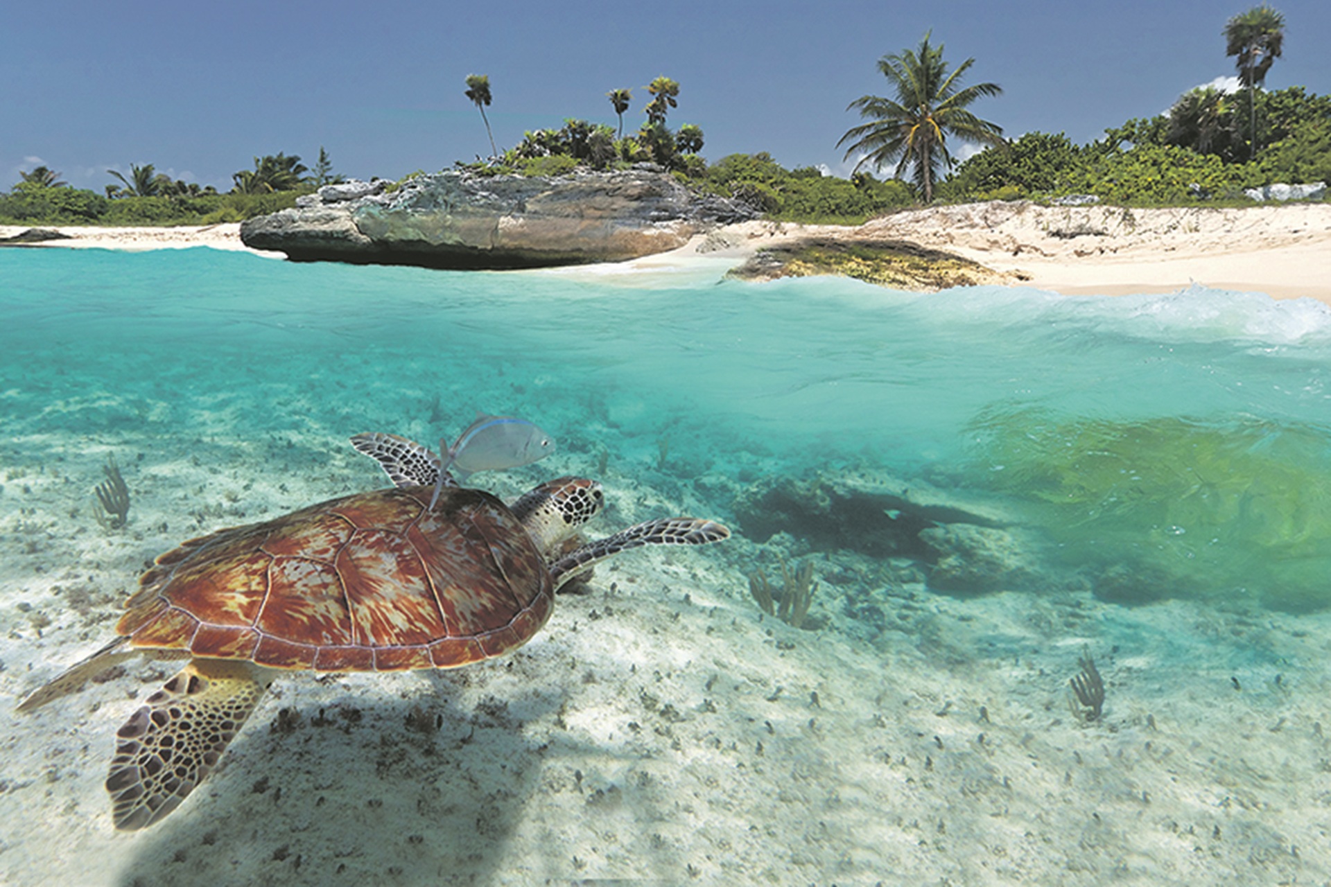 Z CARIBBEAN 1920x1280