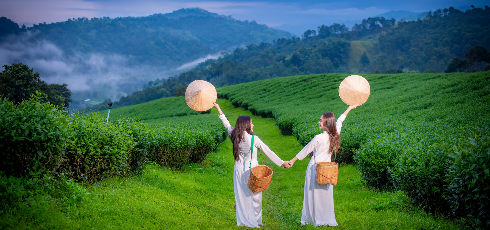 woman standing in a lush green tea plantation