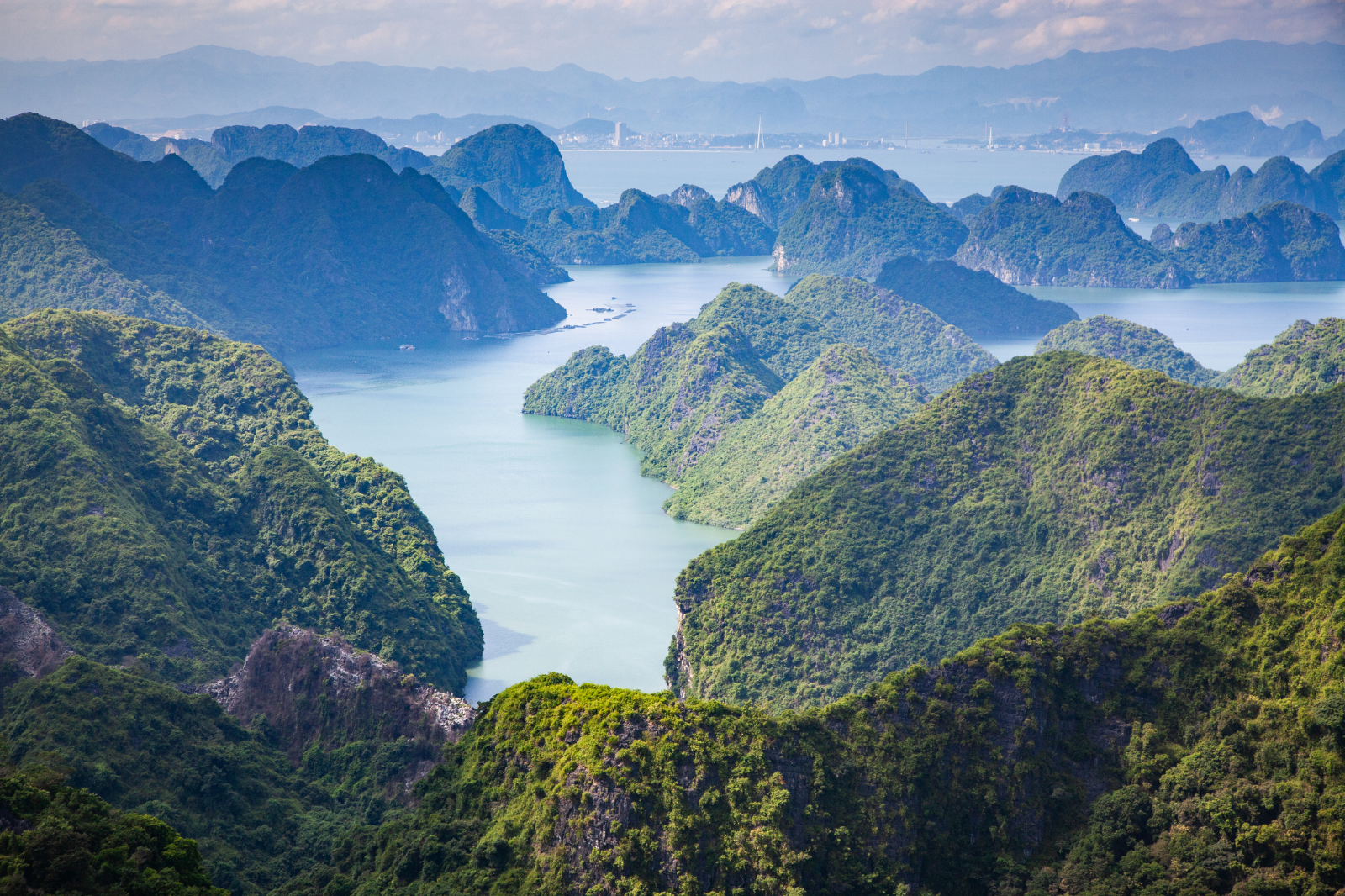 beautiful limestone rocks and secluded beaches in Halong Bay