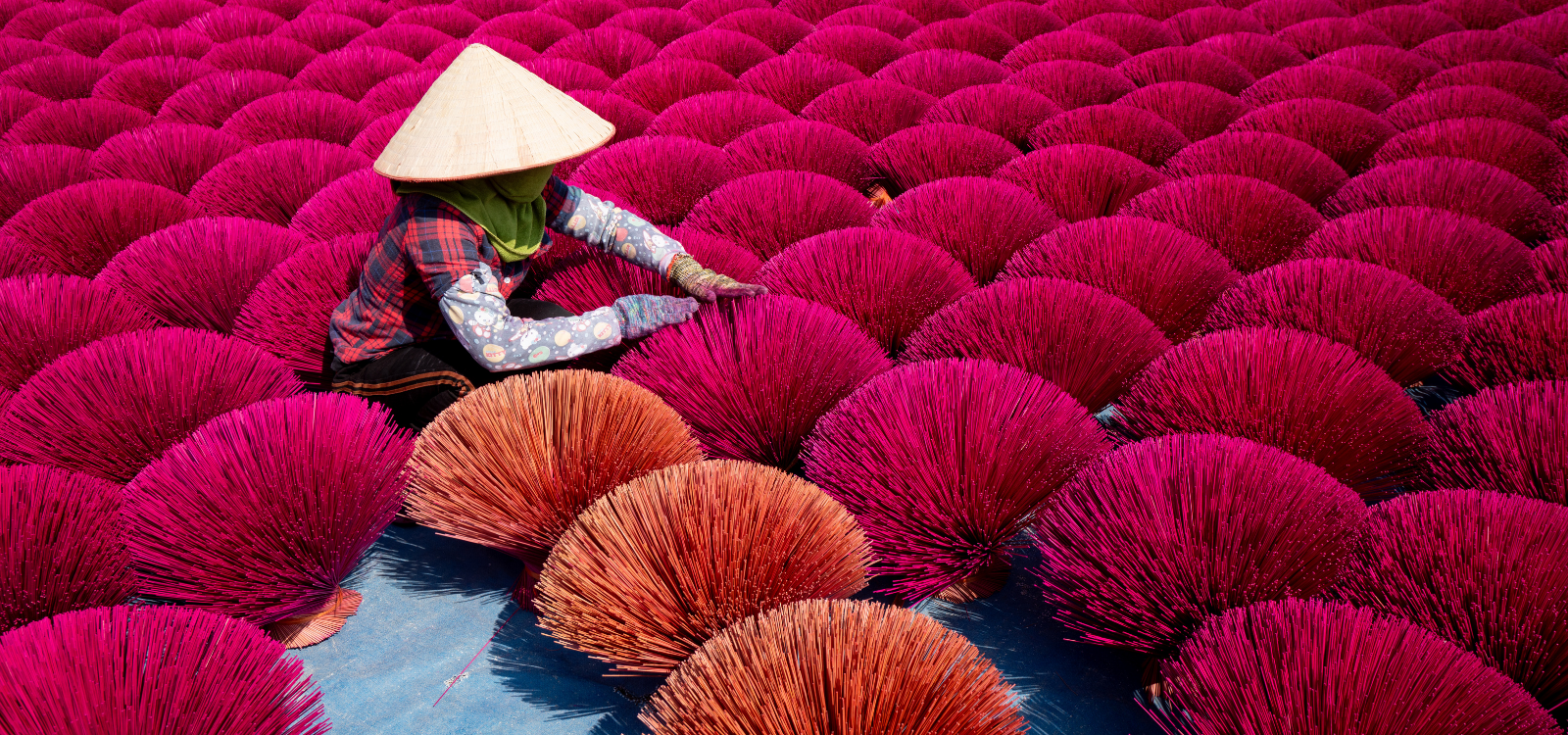 farmers in vietnam drying incense 