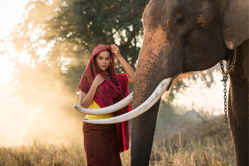 elephant and woman in thailand 