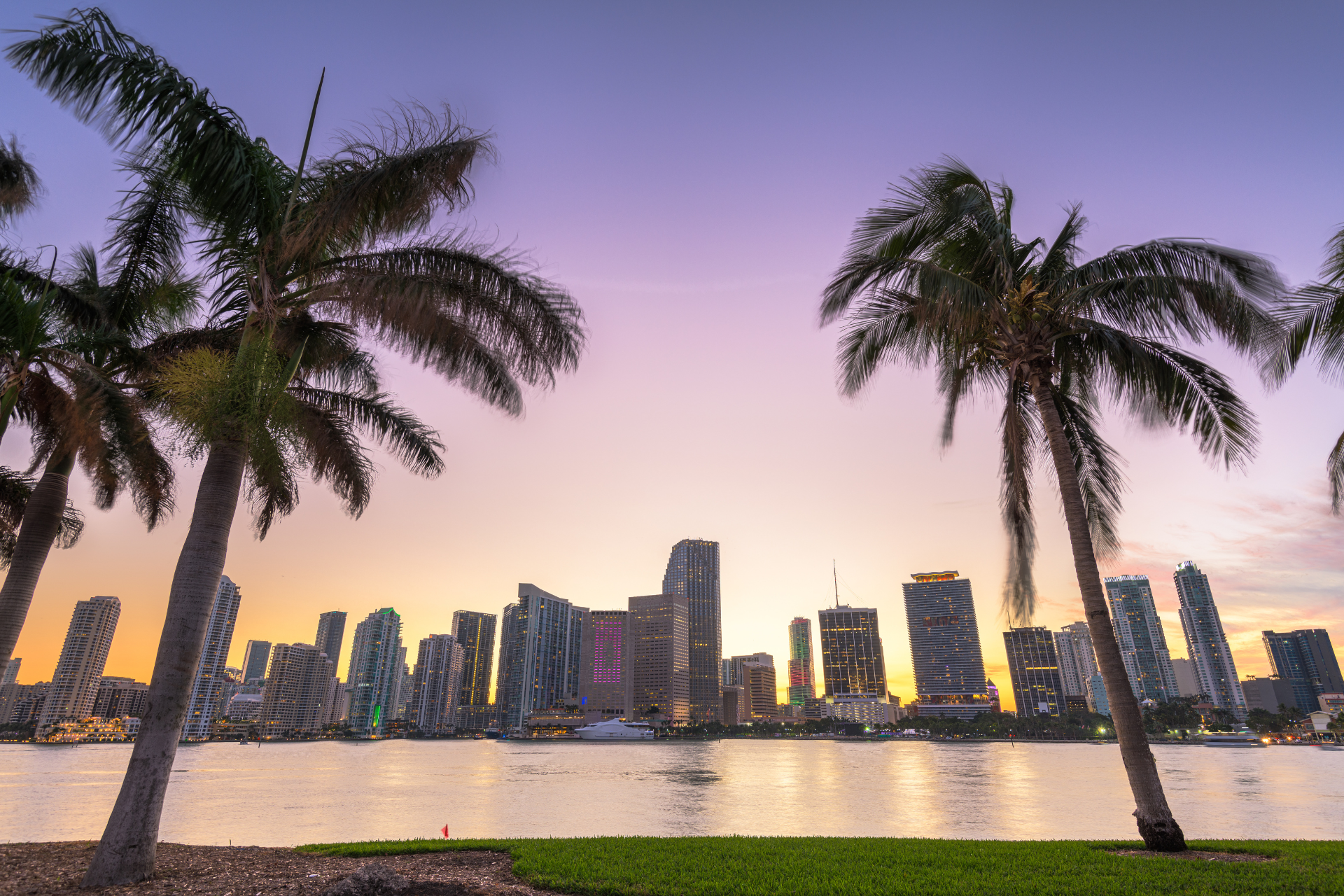 Miami hotel skyline with palm trees in the foreground