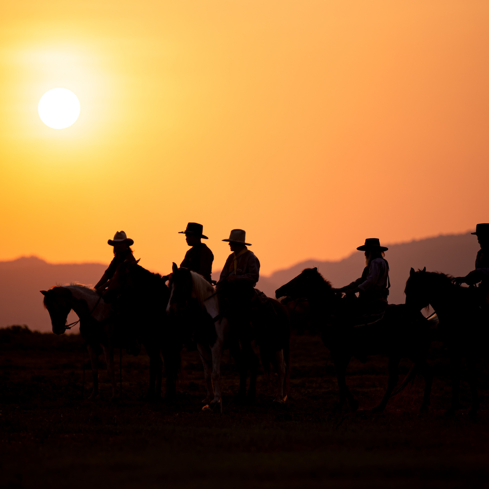 Cowboys on horseback riding in USA
